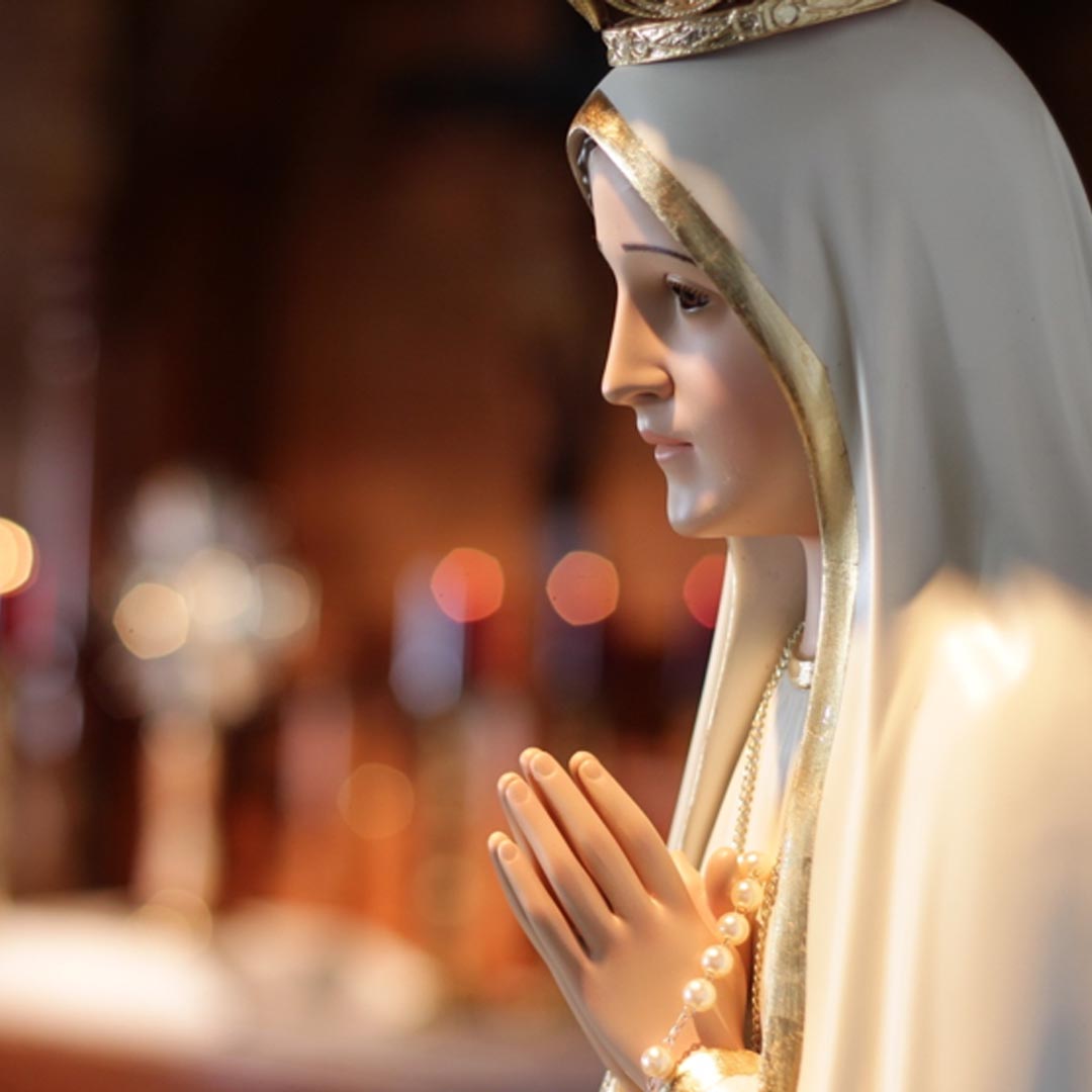 Leia mais sobre o artigo Nossa Senhora de Fátima – Cardeal Orani João Tempesta Arcebispo do Rio de Janeiro (RJ)